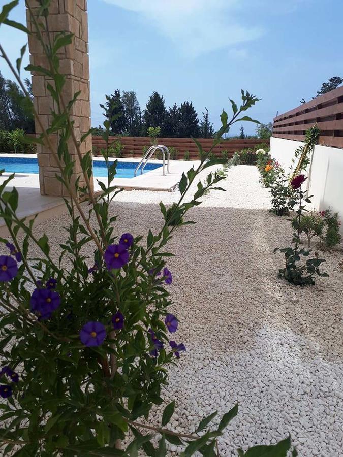 Olivia Villa 63 Pafos Dış mekan fotoğraf